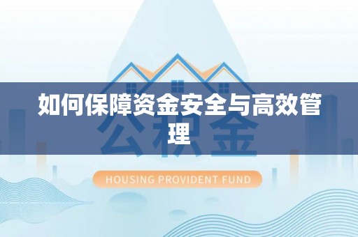 禹王台如何保障资金安全与高效管理