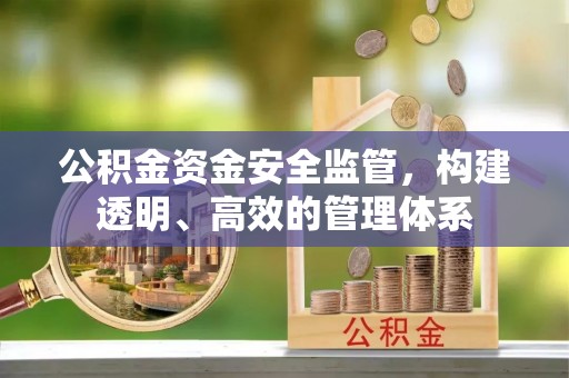 禹王台公积金资金安全监管，构建透明、高效的管理体系