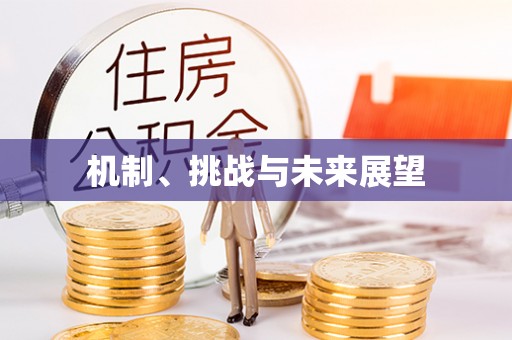 禹王台机制、挑战与未来展望