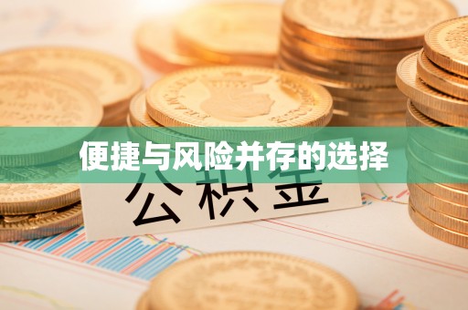 禹王台便捷与风险并存的选择