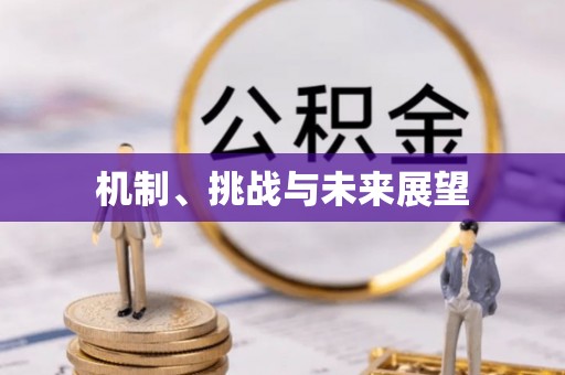 禹王台机制、挑战与未来展望